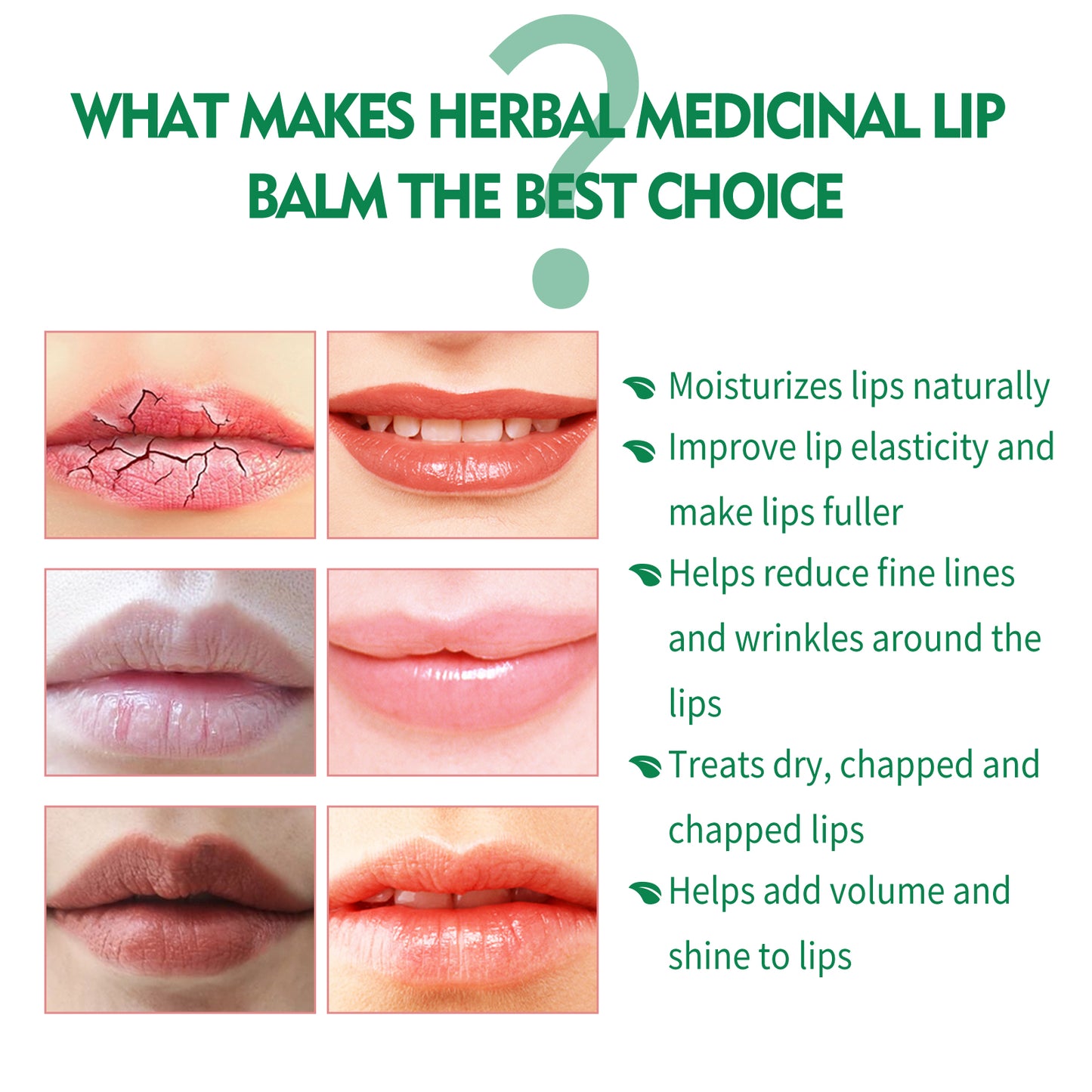 GlowVital™ Herbal Repair Lip Balm