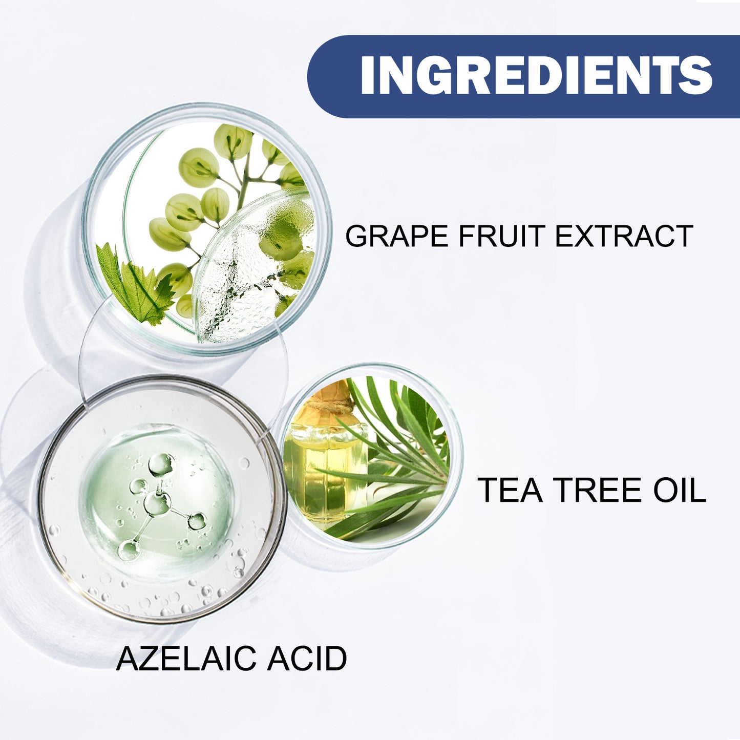 GlowVital™ Black Thorn Skin Cleanser With Grapefruit Extract, Tea Tree Oil & Ursolic Acid