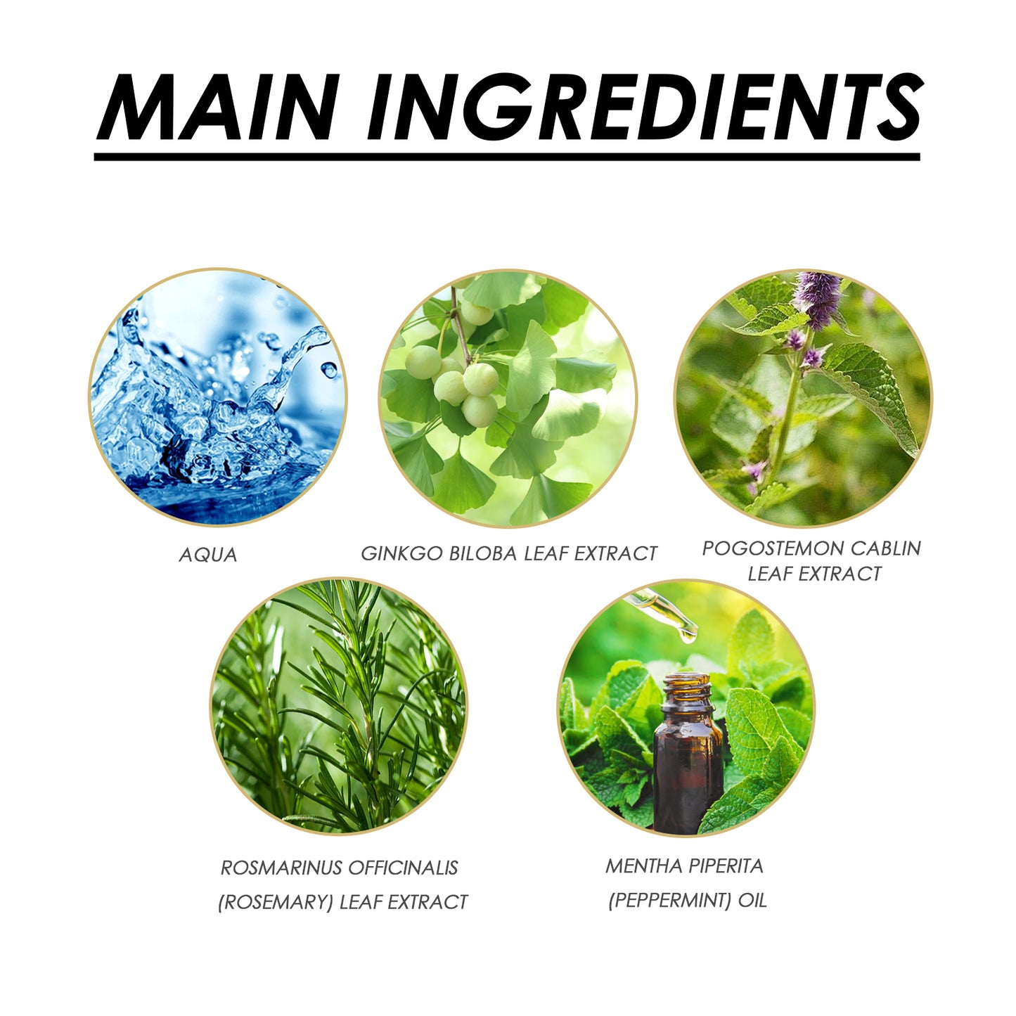 GlowVital™ Luring Gel With Ginkgo Biloba, Rosemary & Pogostemon Extracts